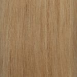 hairextensions-kleur-1001-560×560